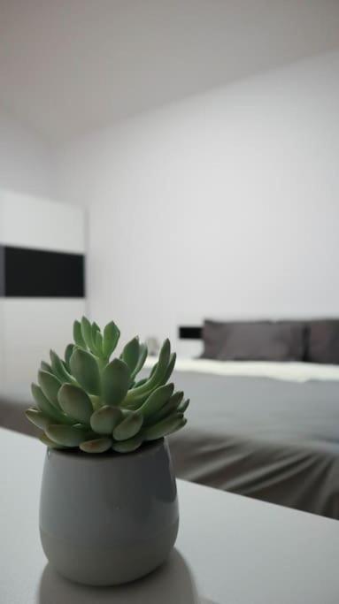 Modern Apartment In The Center Of Прага Екстер'єр фото
